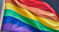 Gilmore Community School is proud to celebrate Gilmore Pride Week, a time dedicated to fostering inclusion, diversity, and a sense of belonging for all students, families and staff. Throughout the [&hellip;]